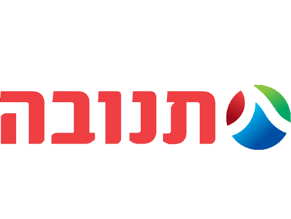 מנהל תשתיות ואנרגיה